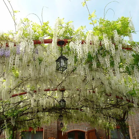 Di Valle Rosa Κατάλυμα σε φάρμα *