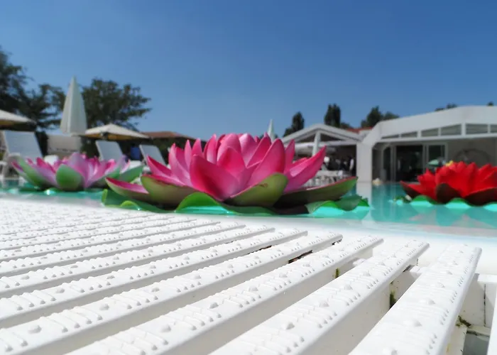 Di Valle Rosa 팜스테이 *