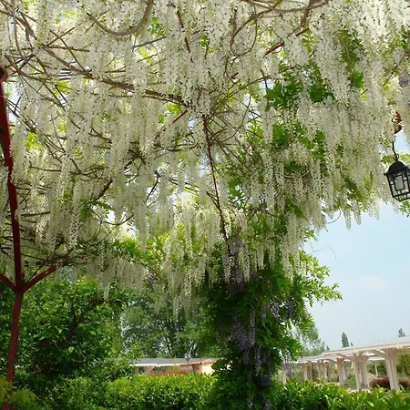 Alojamento de Turismo Rural Di Valle Rosa