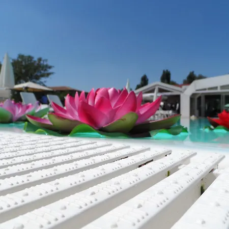 Di Valle Rosa Çiftlik konaklama *