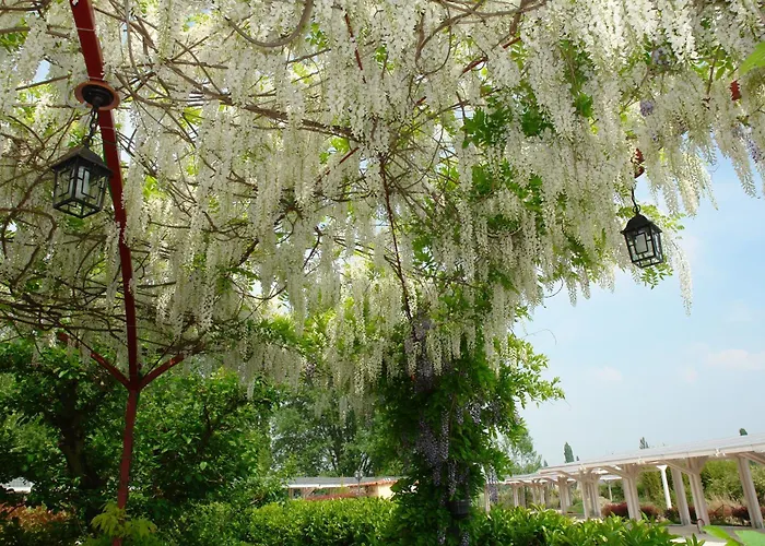 Farm stay Di Valle Rosa