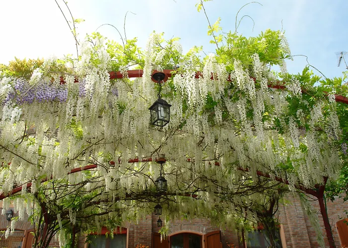 Di Valle Rosa Alloggio per agriturismo *